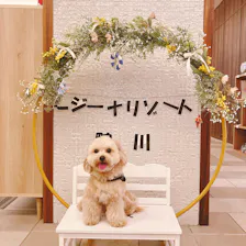 クチコミ画像