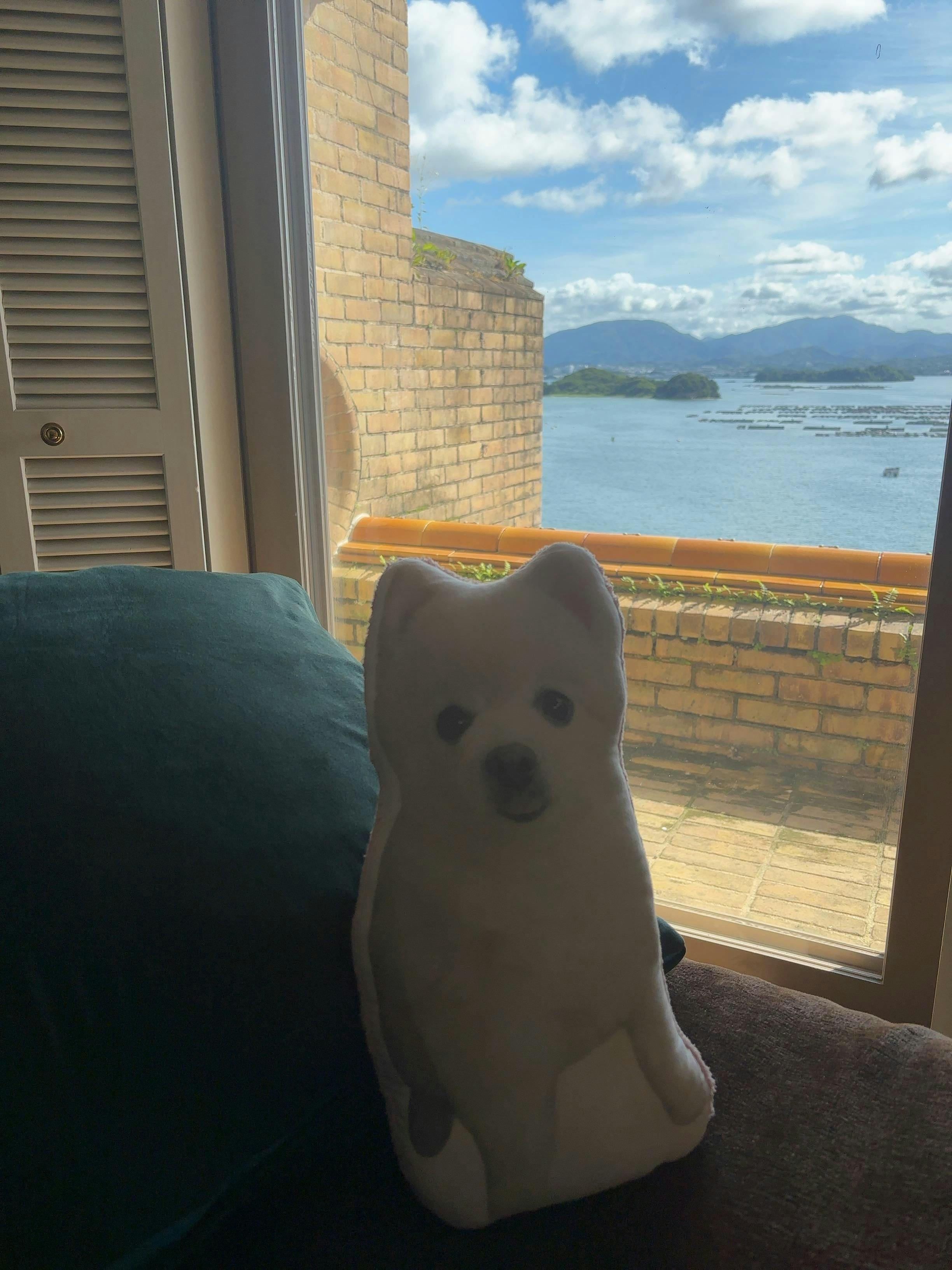 クチコミ画像