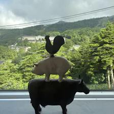 クチコミ画像