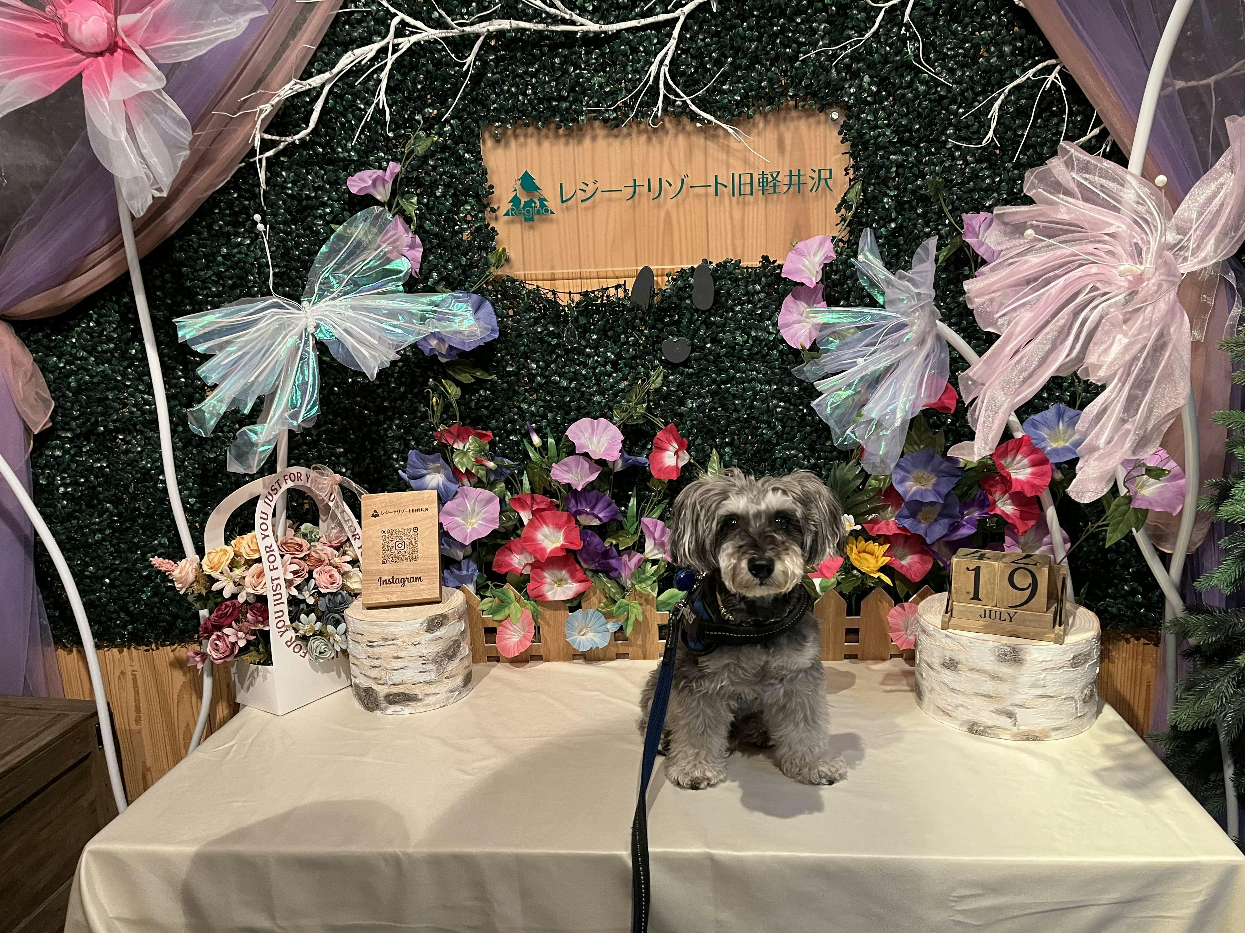 クチコミ画像