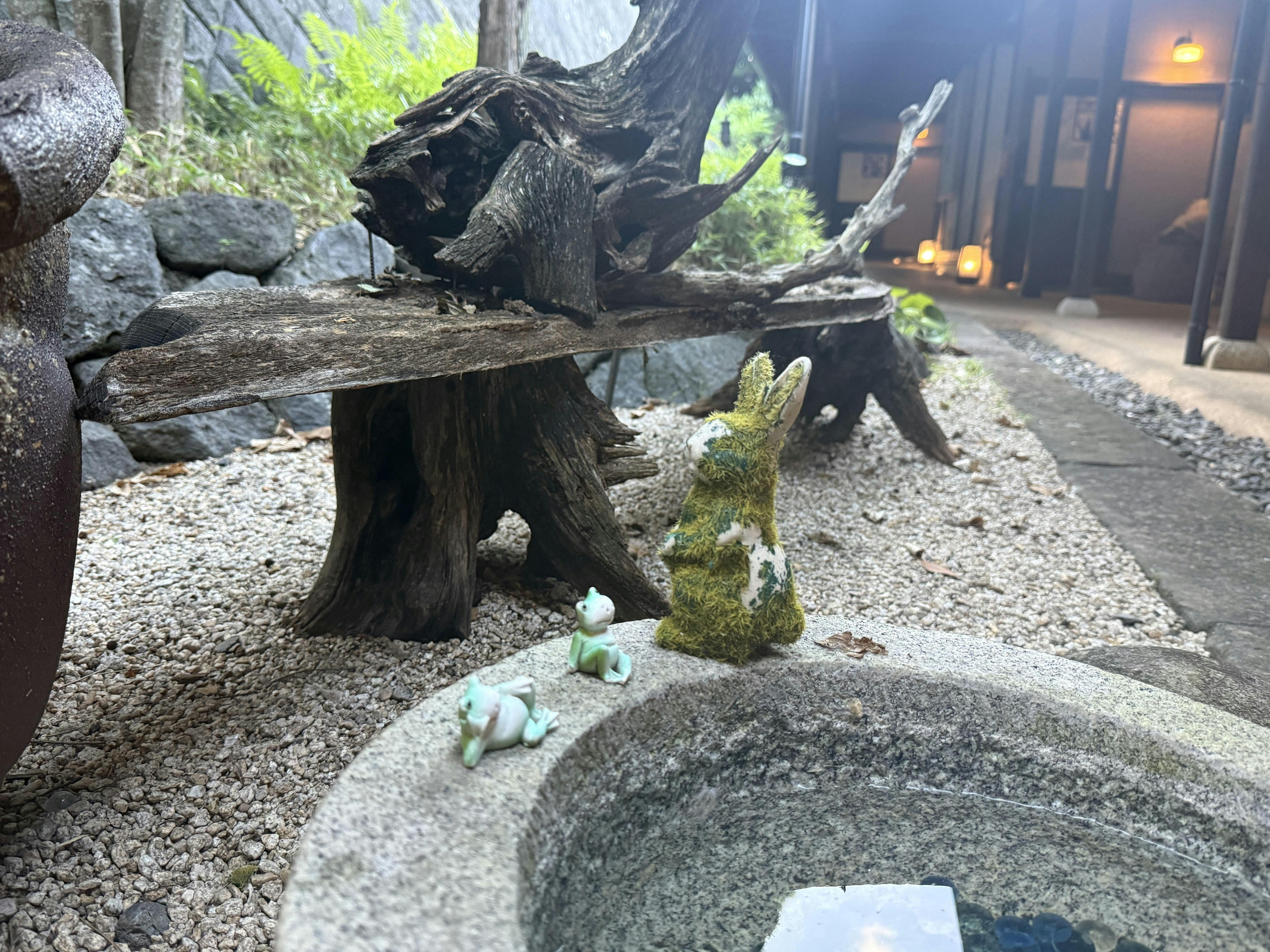 クチコミ画像