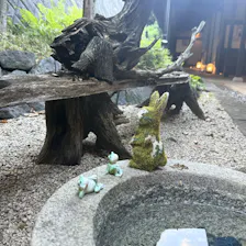 クチコミ画像