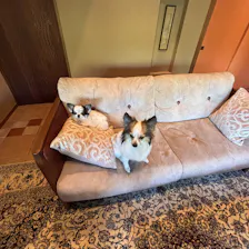 クチコミ画像