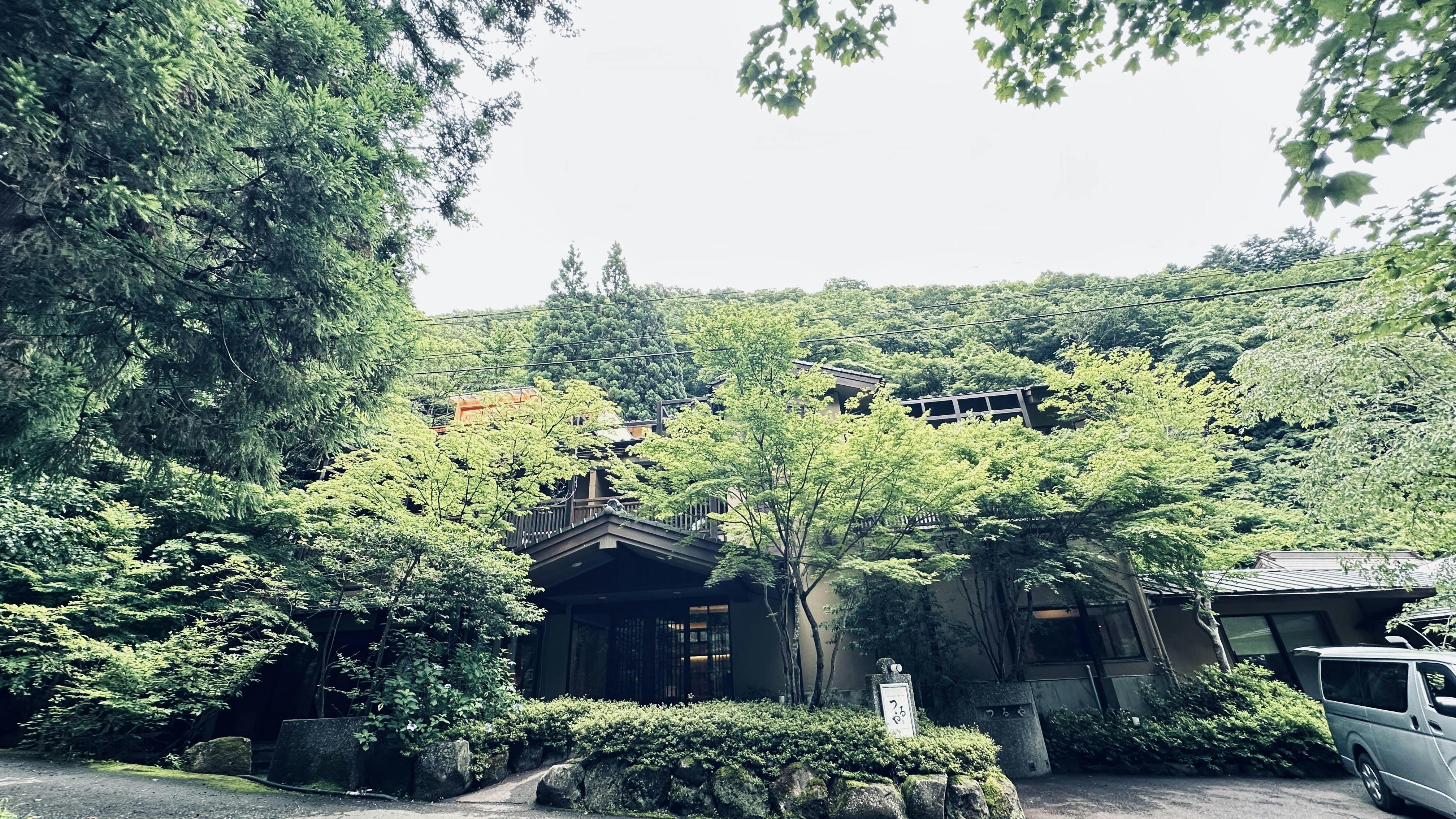 クチコミ画像