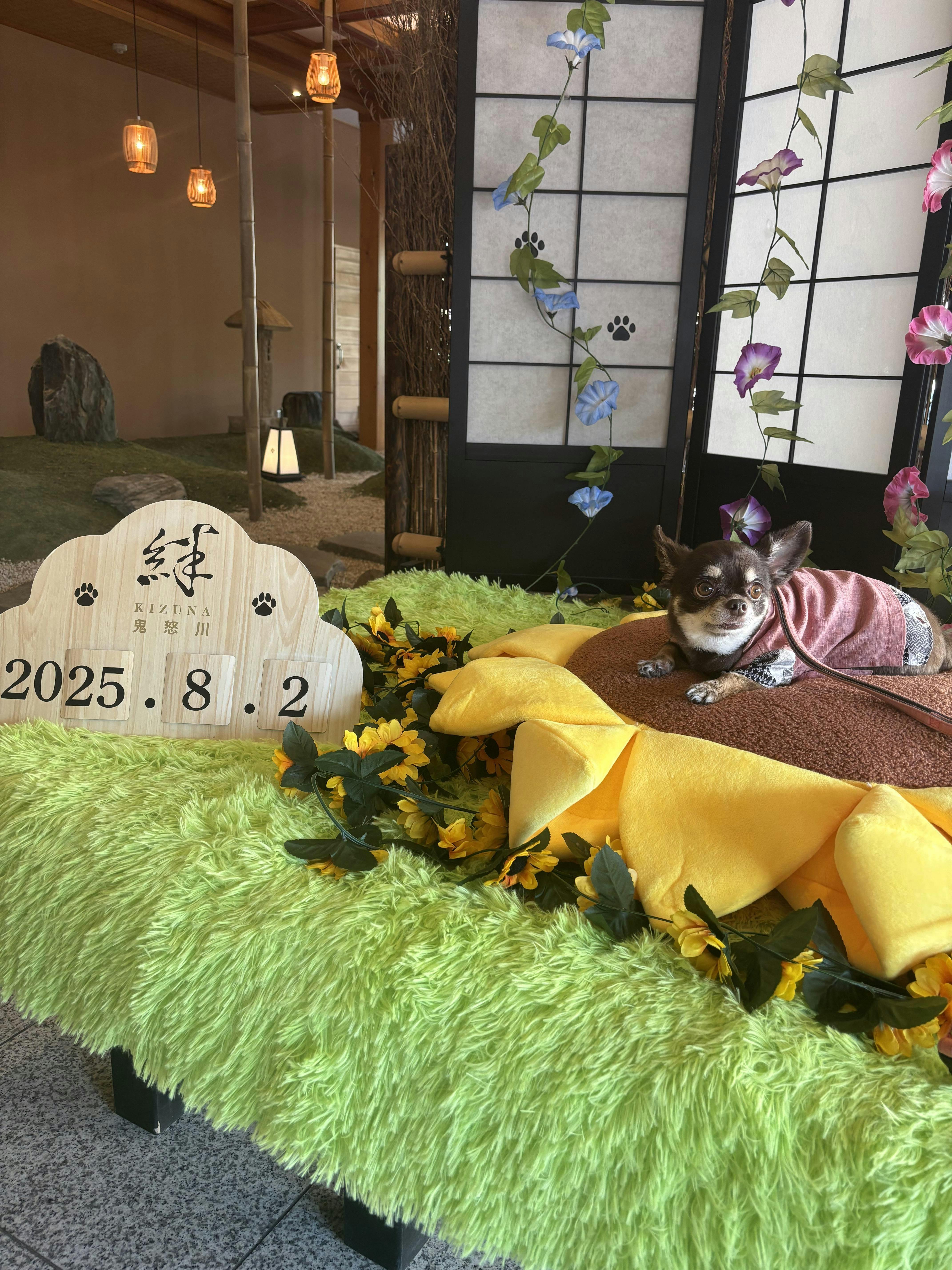 クチコミ画像