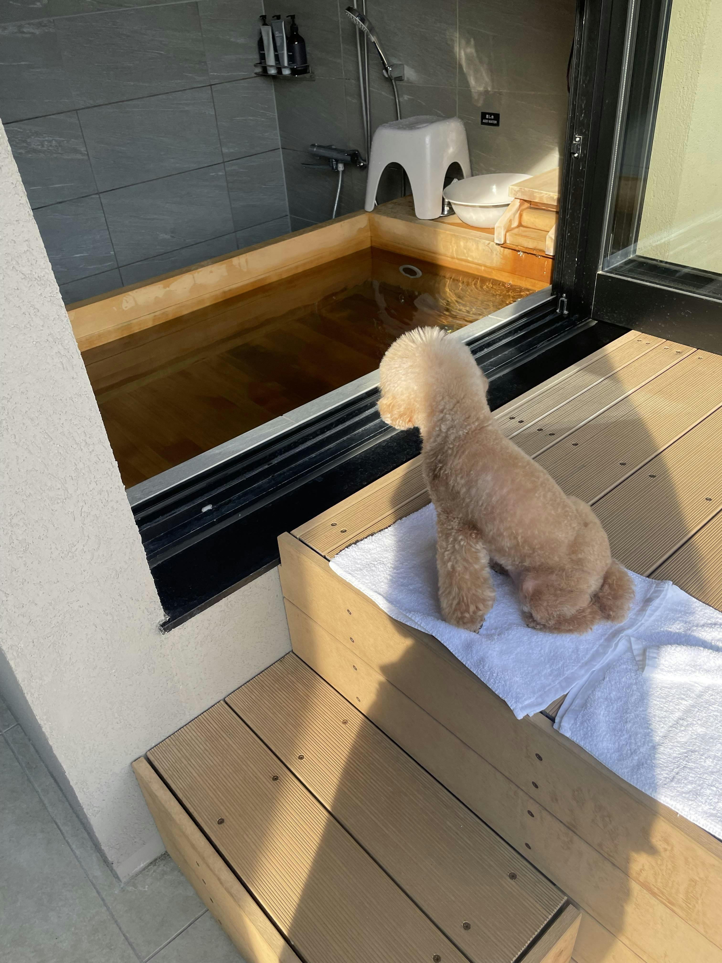 クチコミ画像