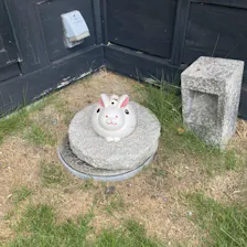 クチコミ画像