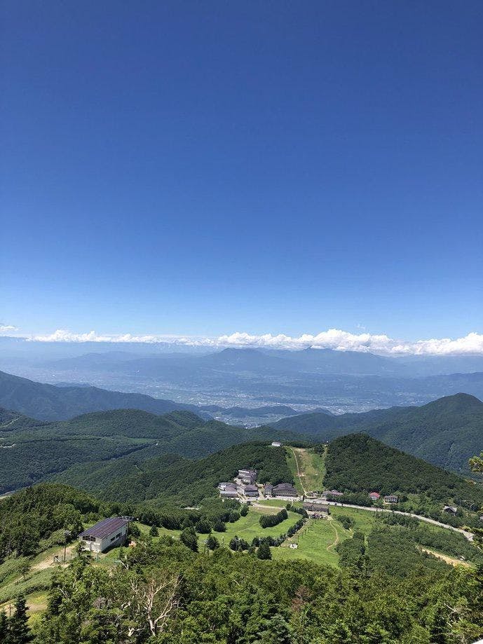 クチコミ画像