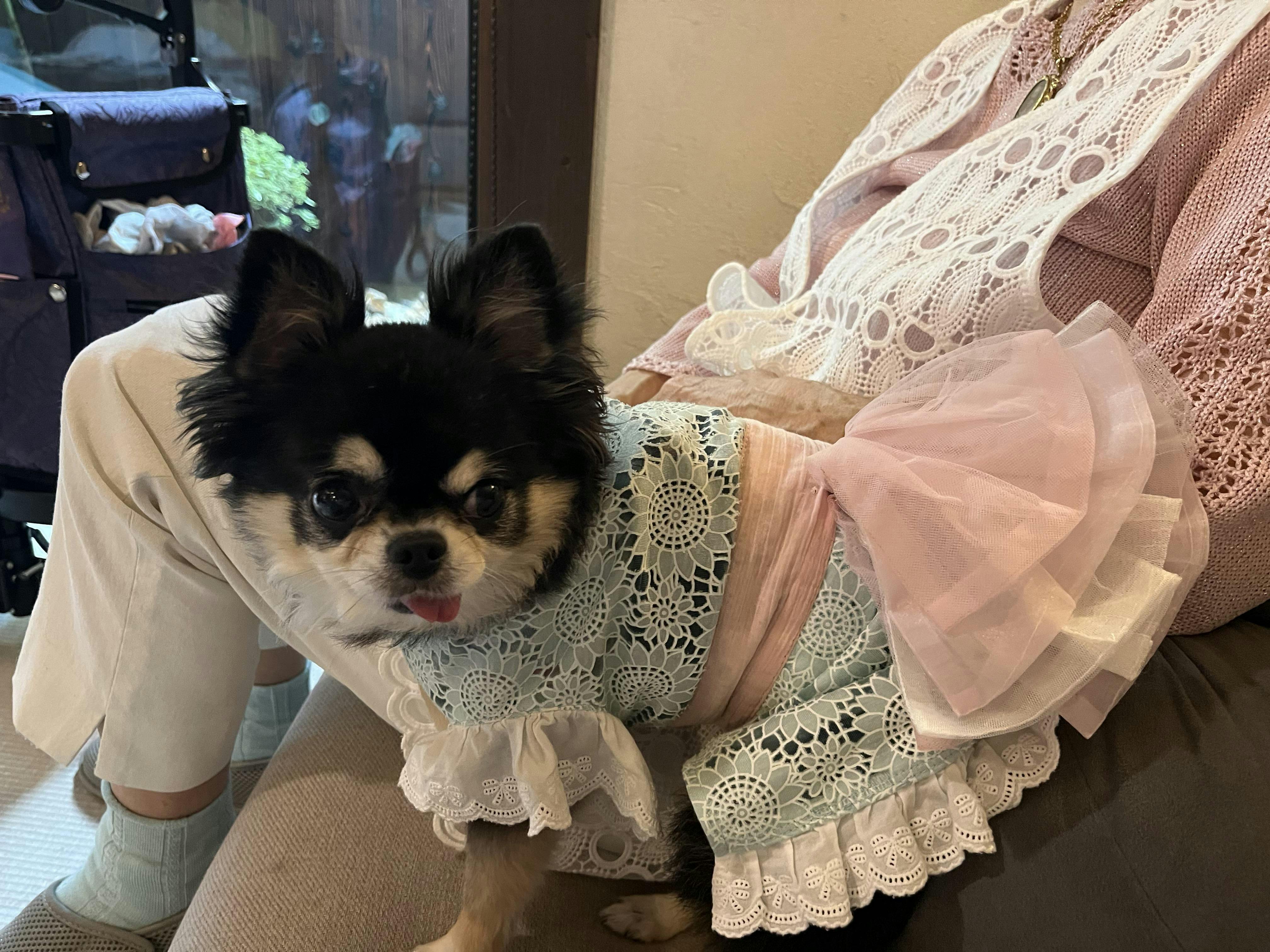 クチコミ画像