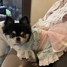 クチコミ画像