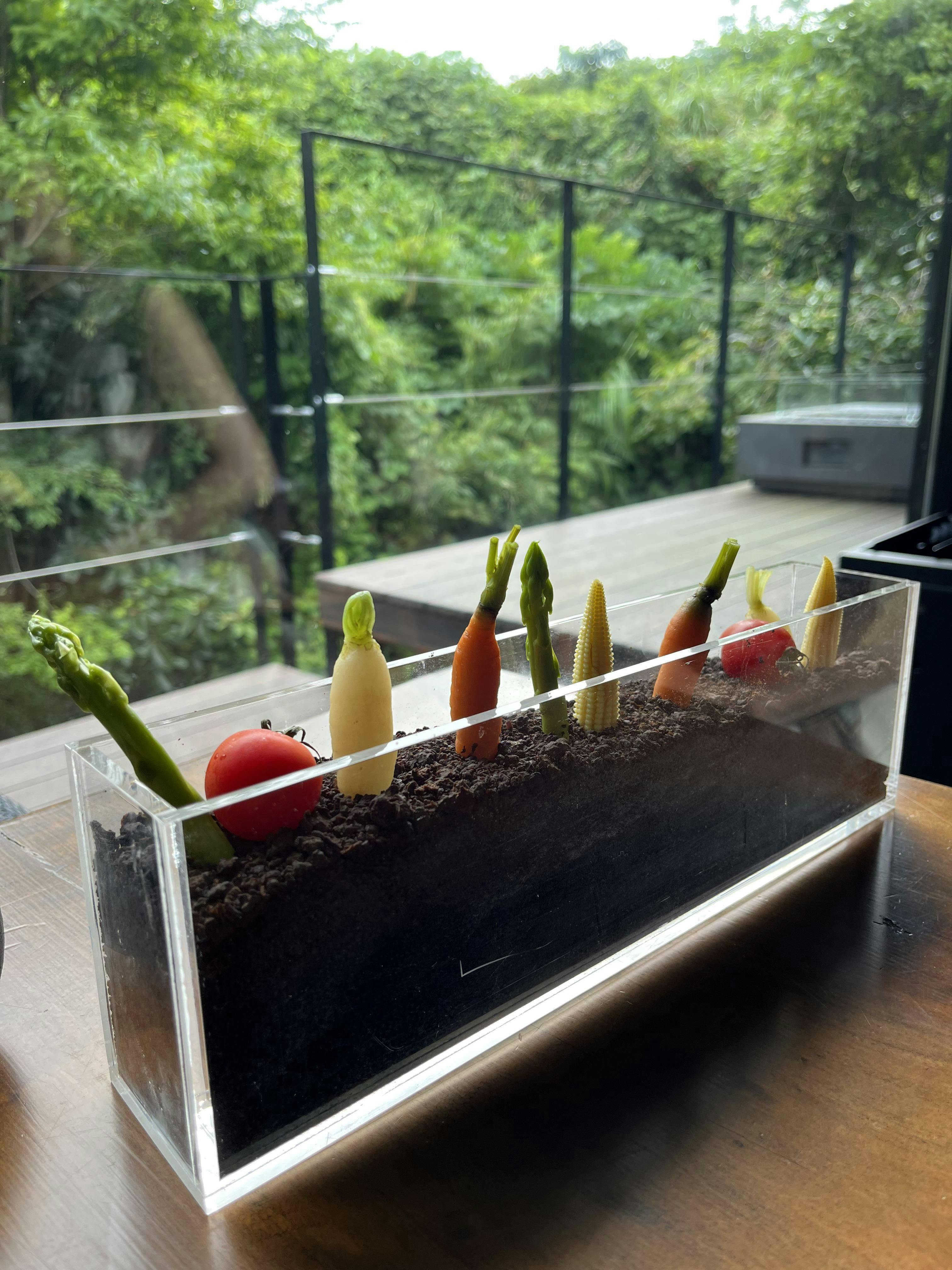 クチコミ画像