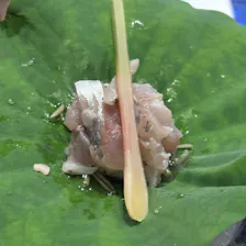 クチコミ画像