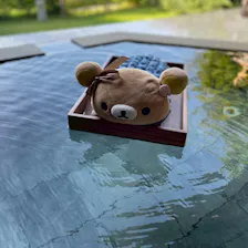 クチコミ画像