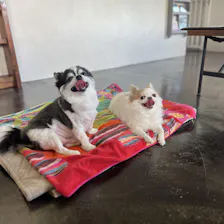 クチコミ画像