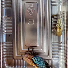 クチコミ画像