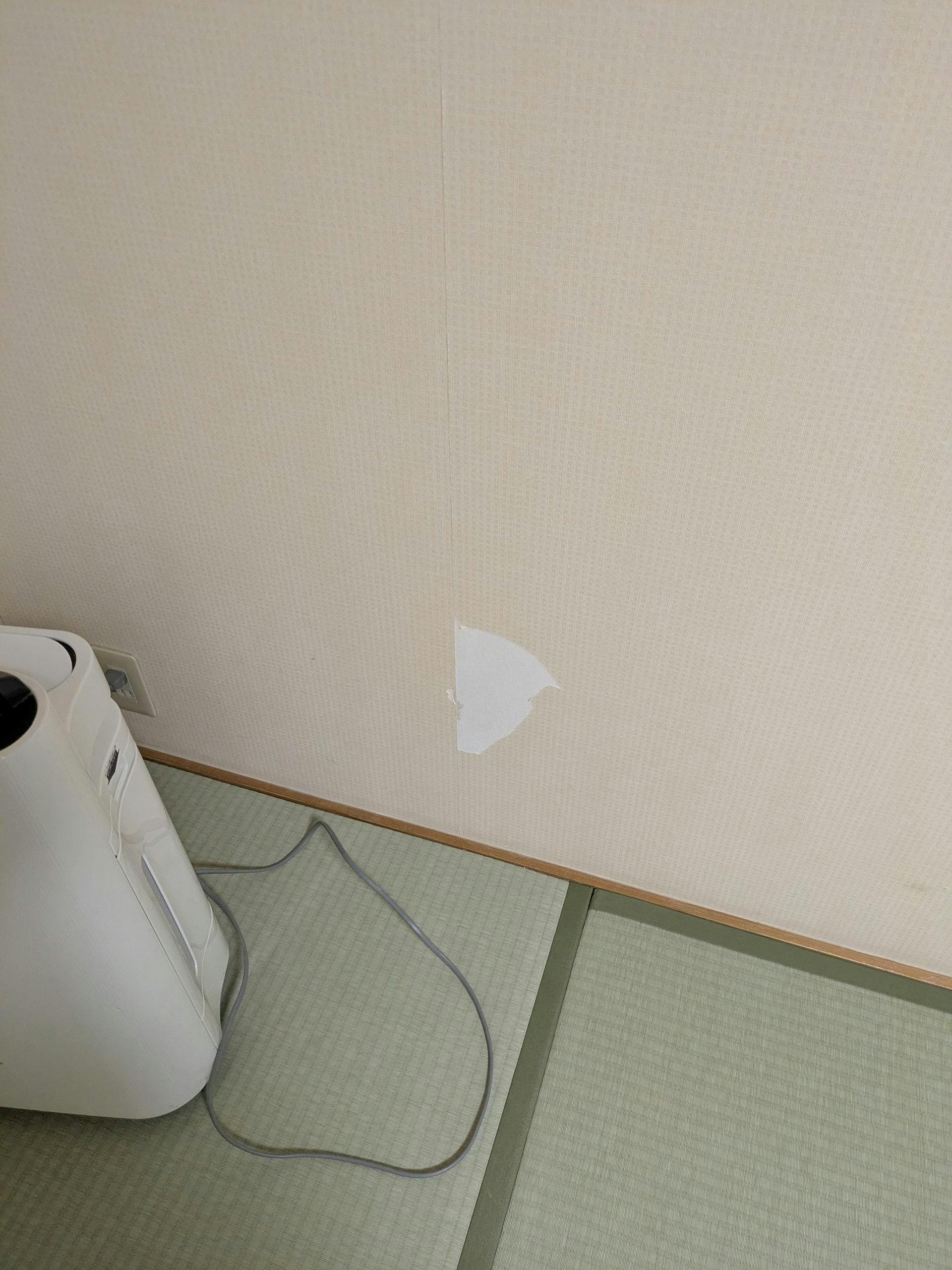 クチコミ画像