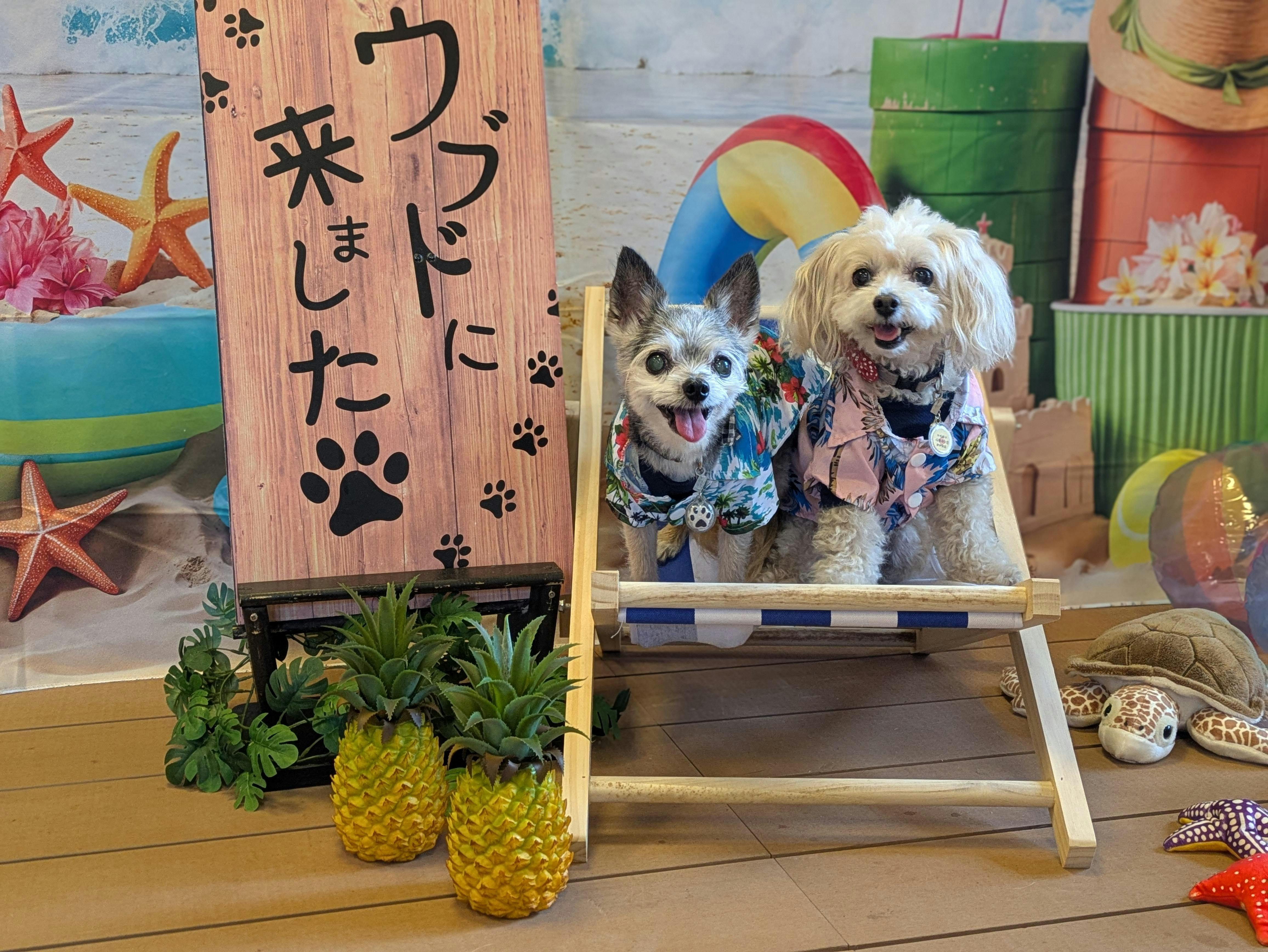 クチコミ画像