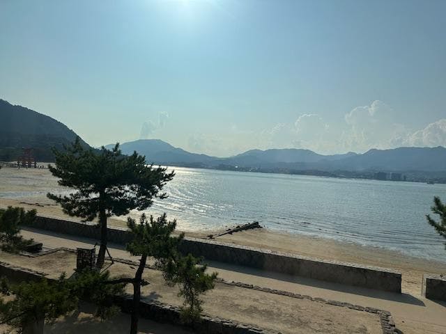 クチコミ画像