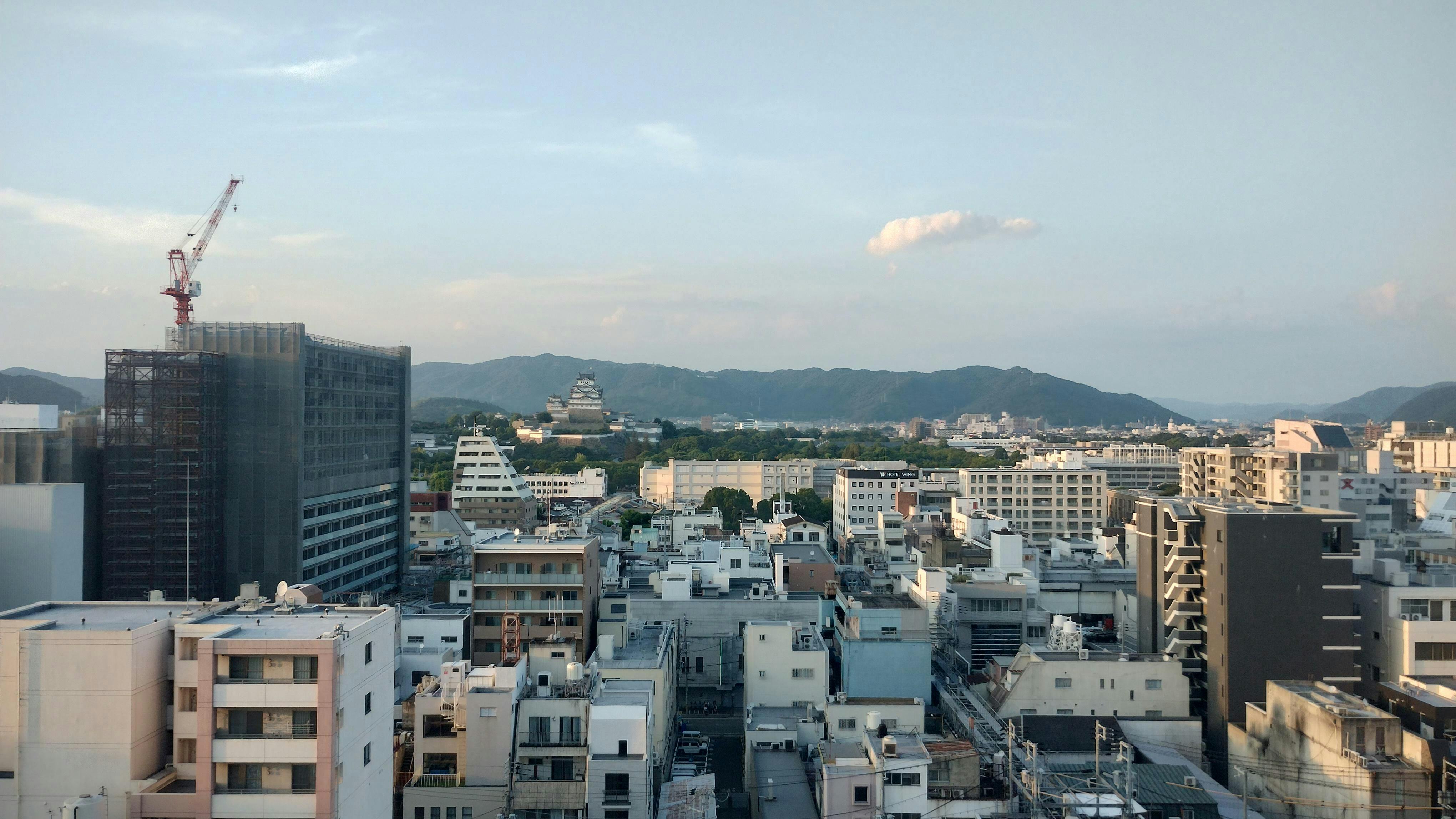 クチコミ画像