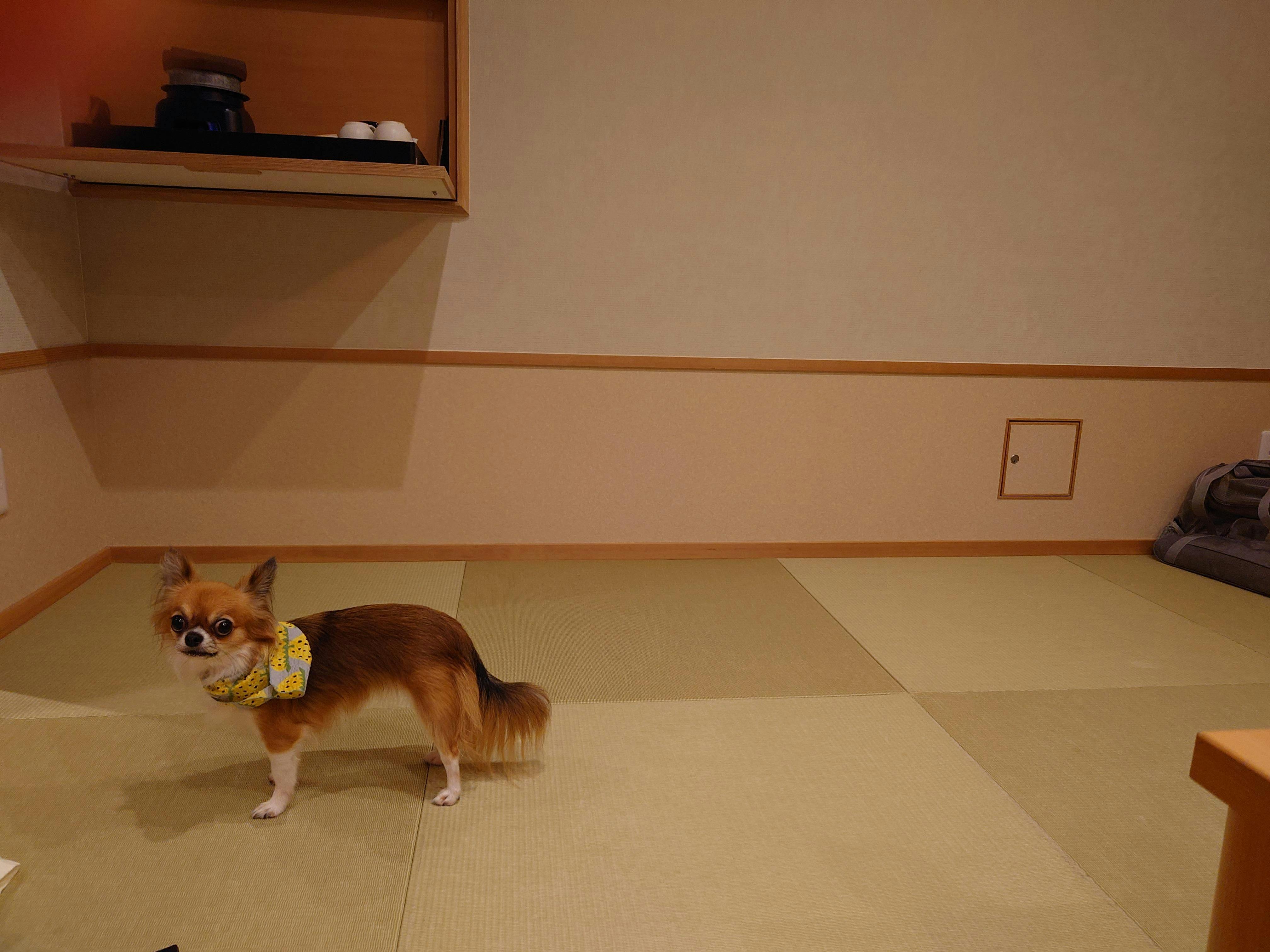 クチコミ画像