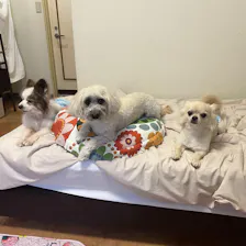 クチコミ画像
