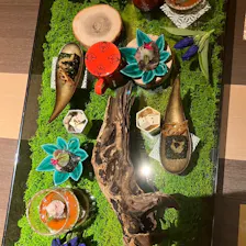 クチコミ画像