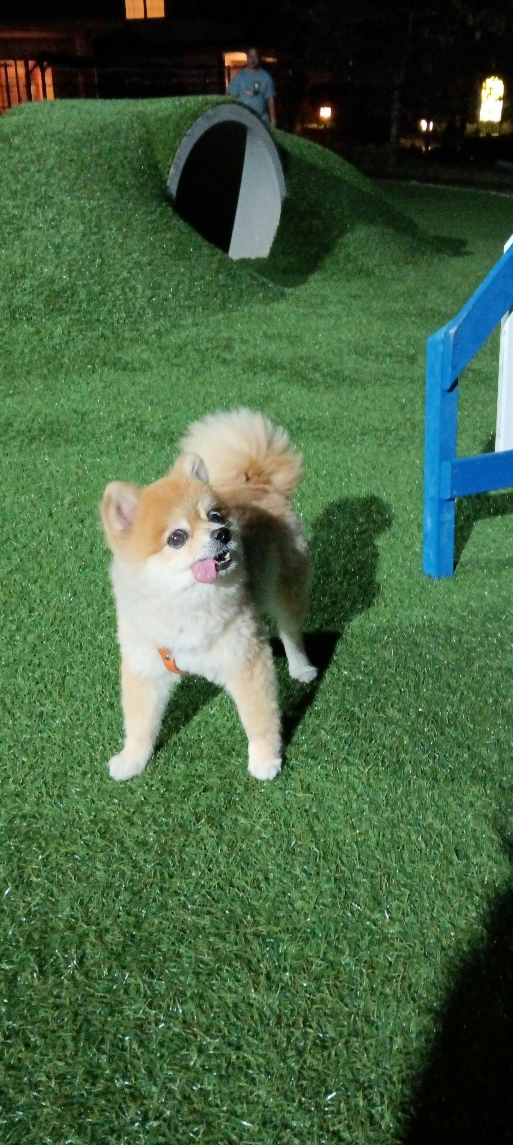 クチコミ画像