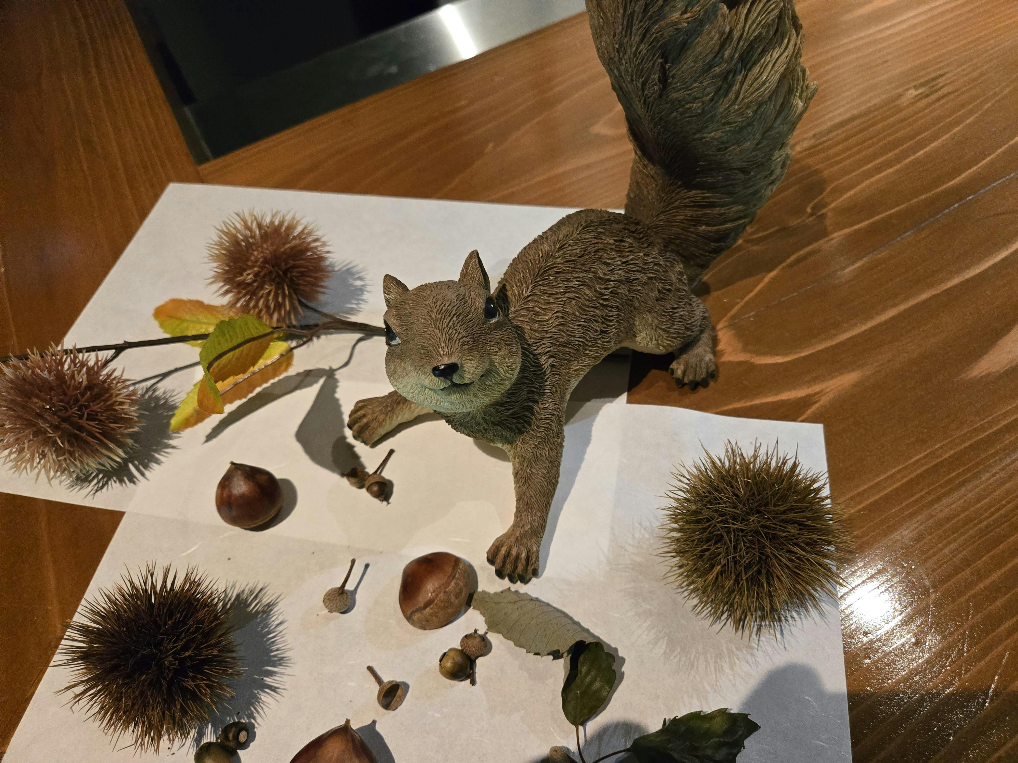 クチコミ画像