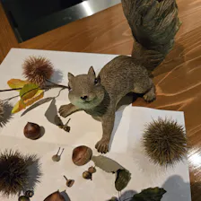 クチコミ画像