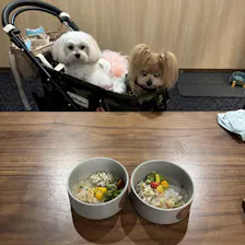 クチコミ画像