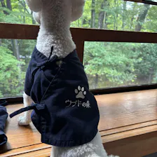 クチコミ画像