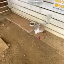 クチコミ画像