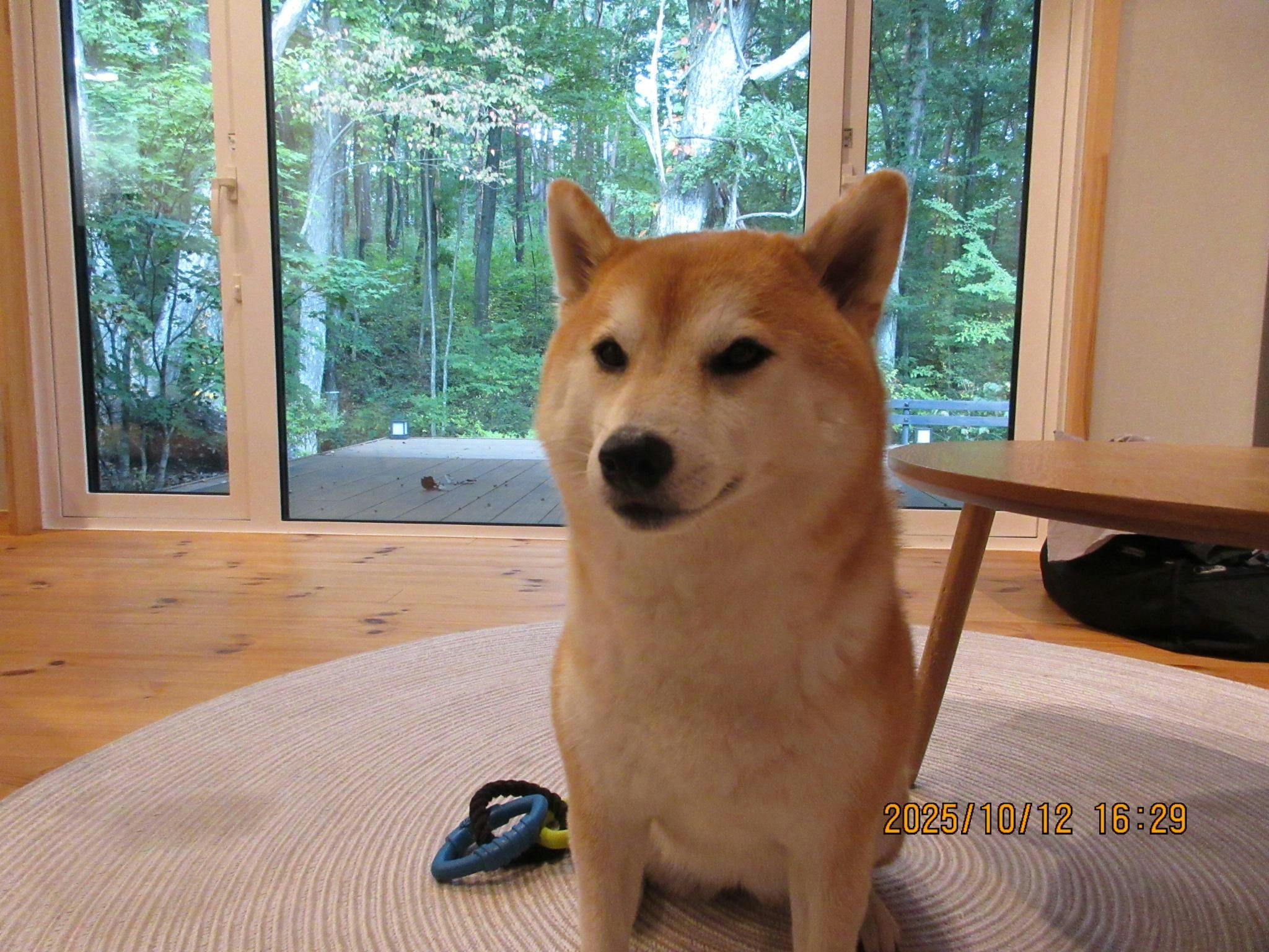 クチコミ画像
