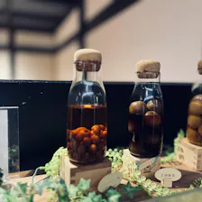 クチコミ画像