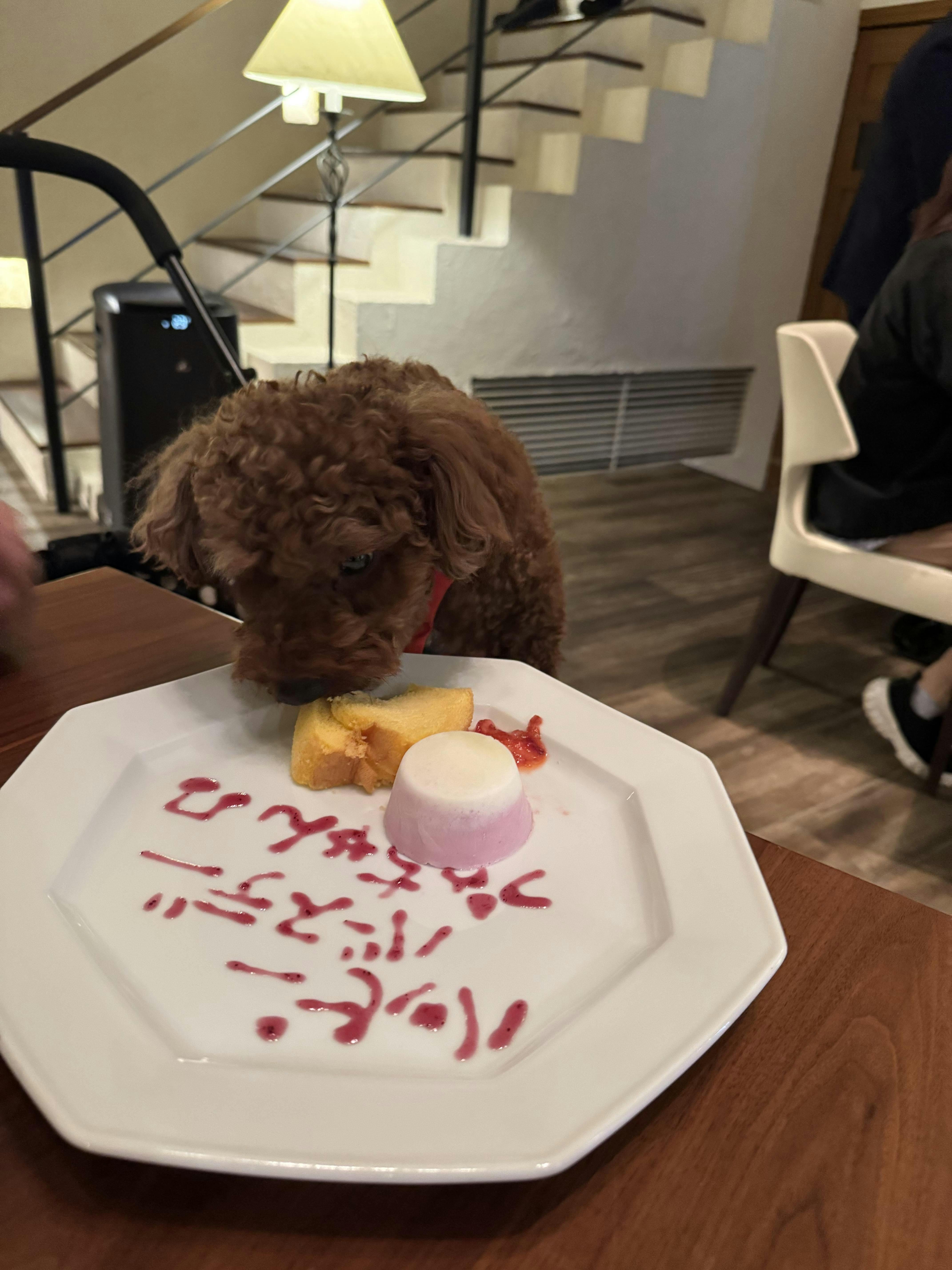 クチコミ画像