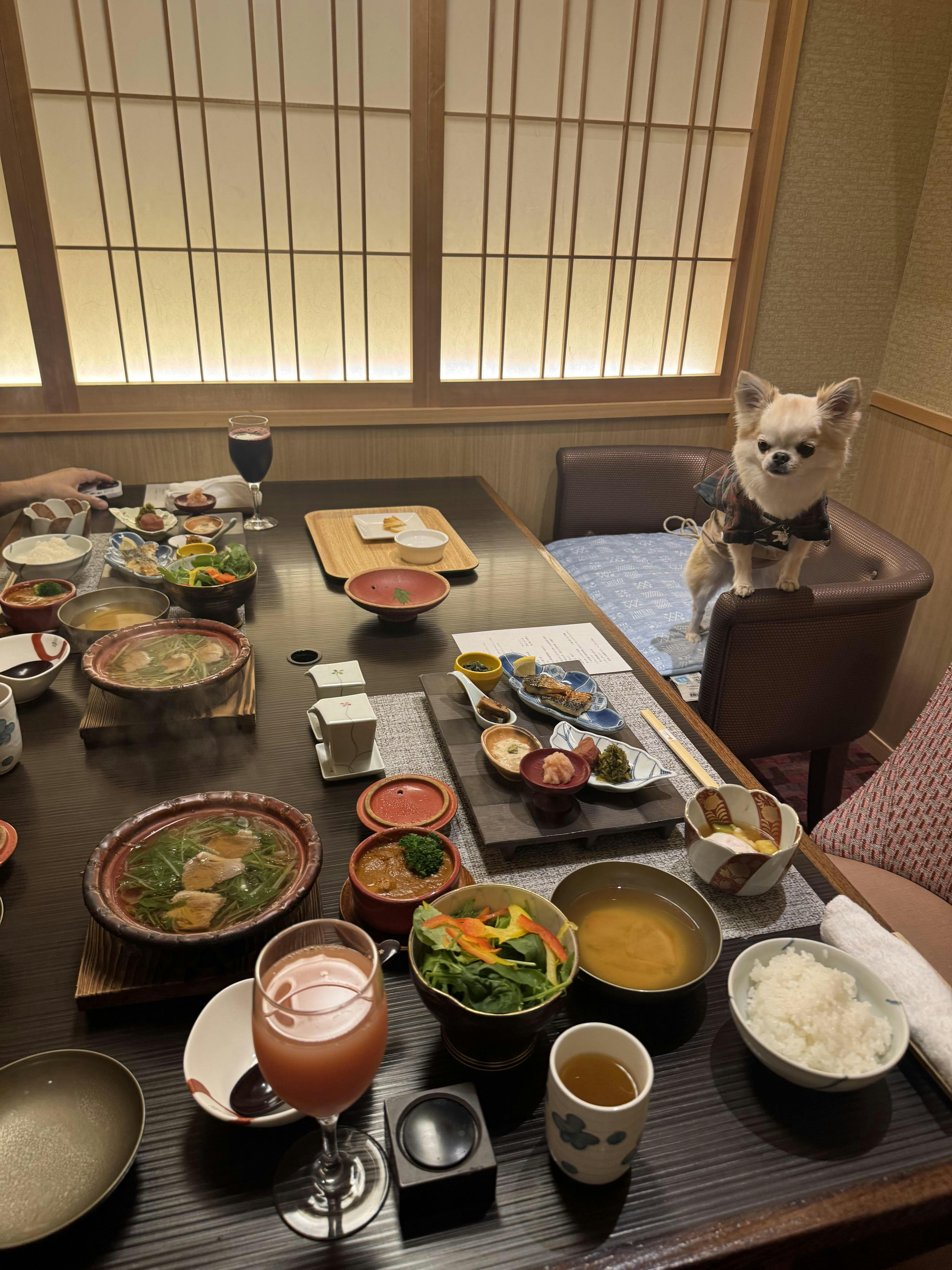 クチコミ画像