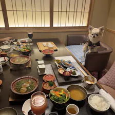 クチコミ画像
