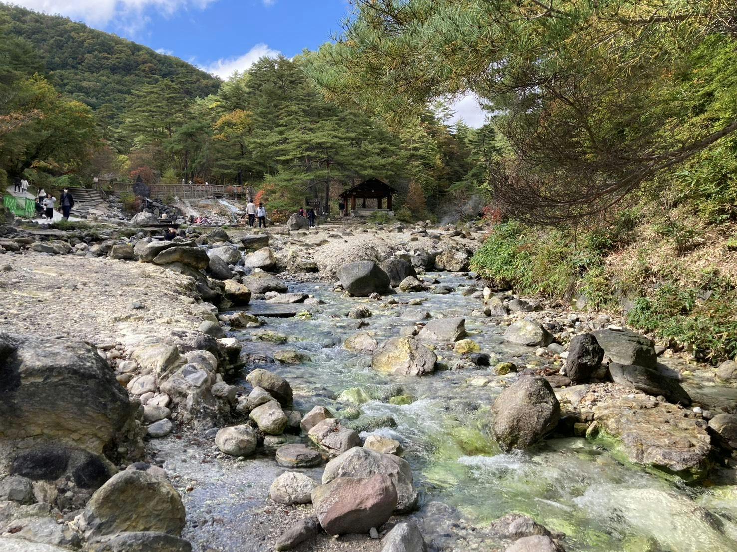 クチコミ画像