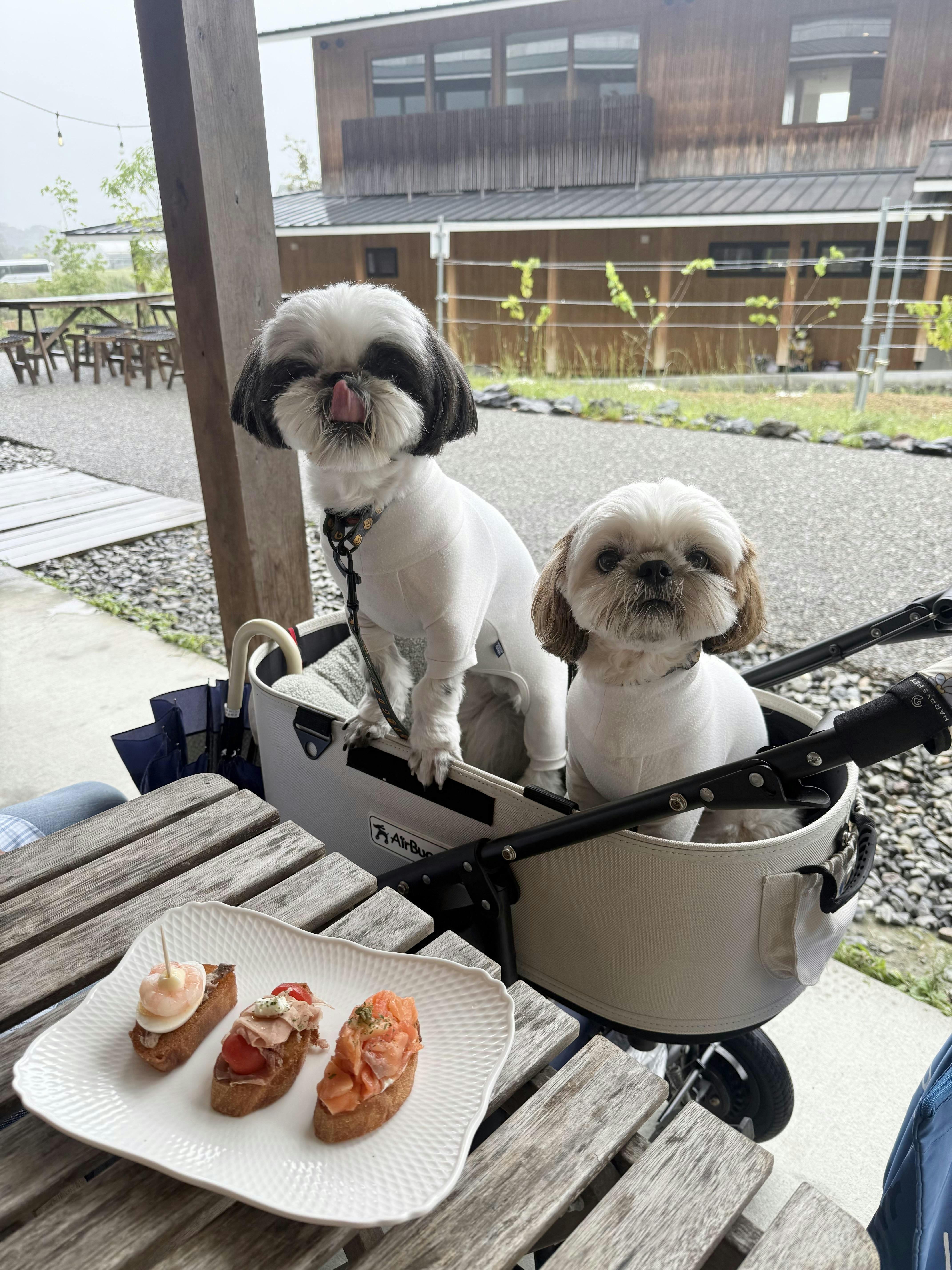 クチコミ画像