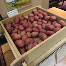 クチコミ画像
