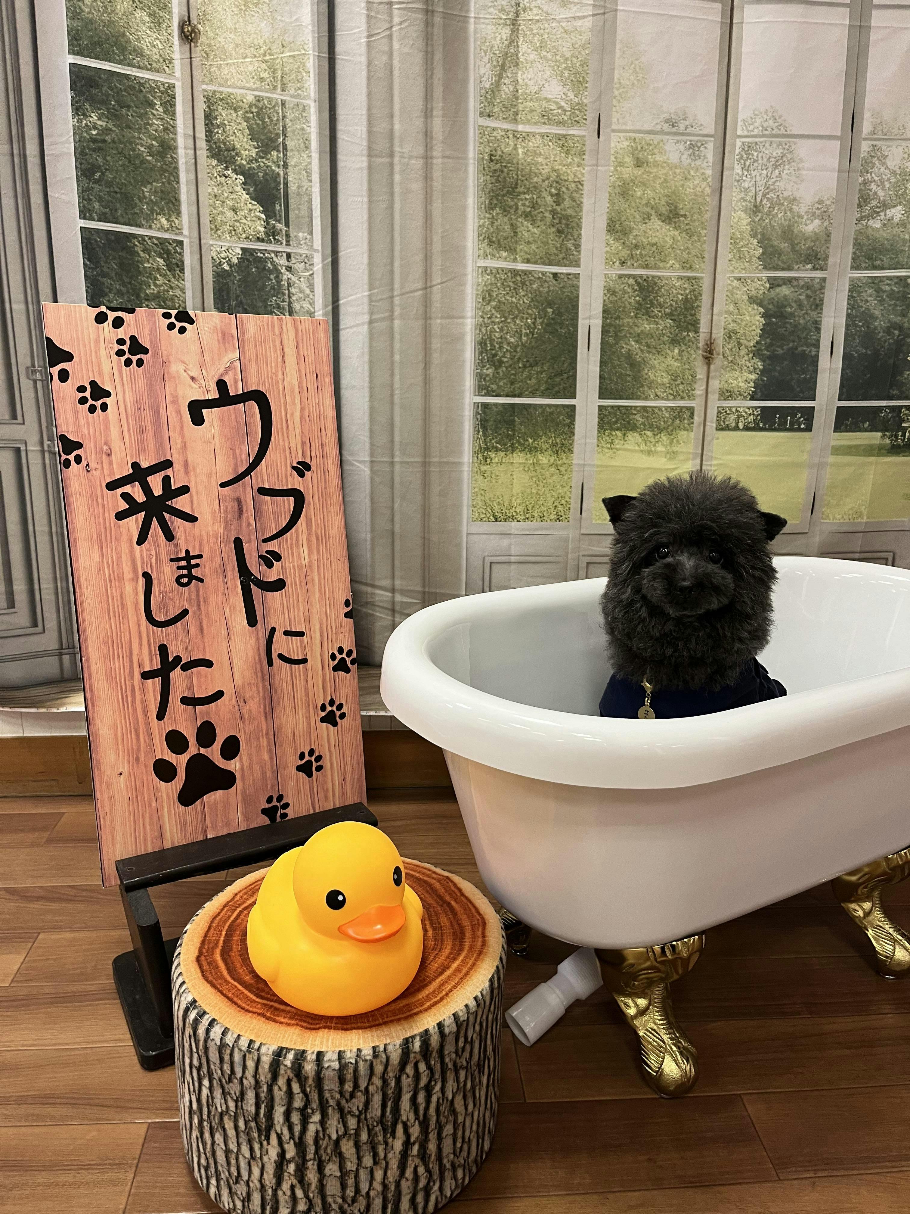 クチコミ画像