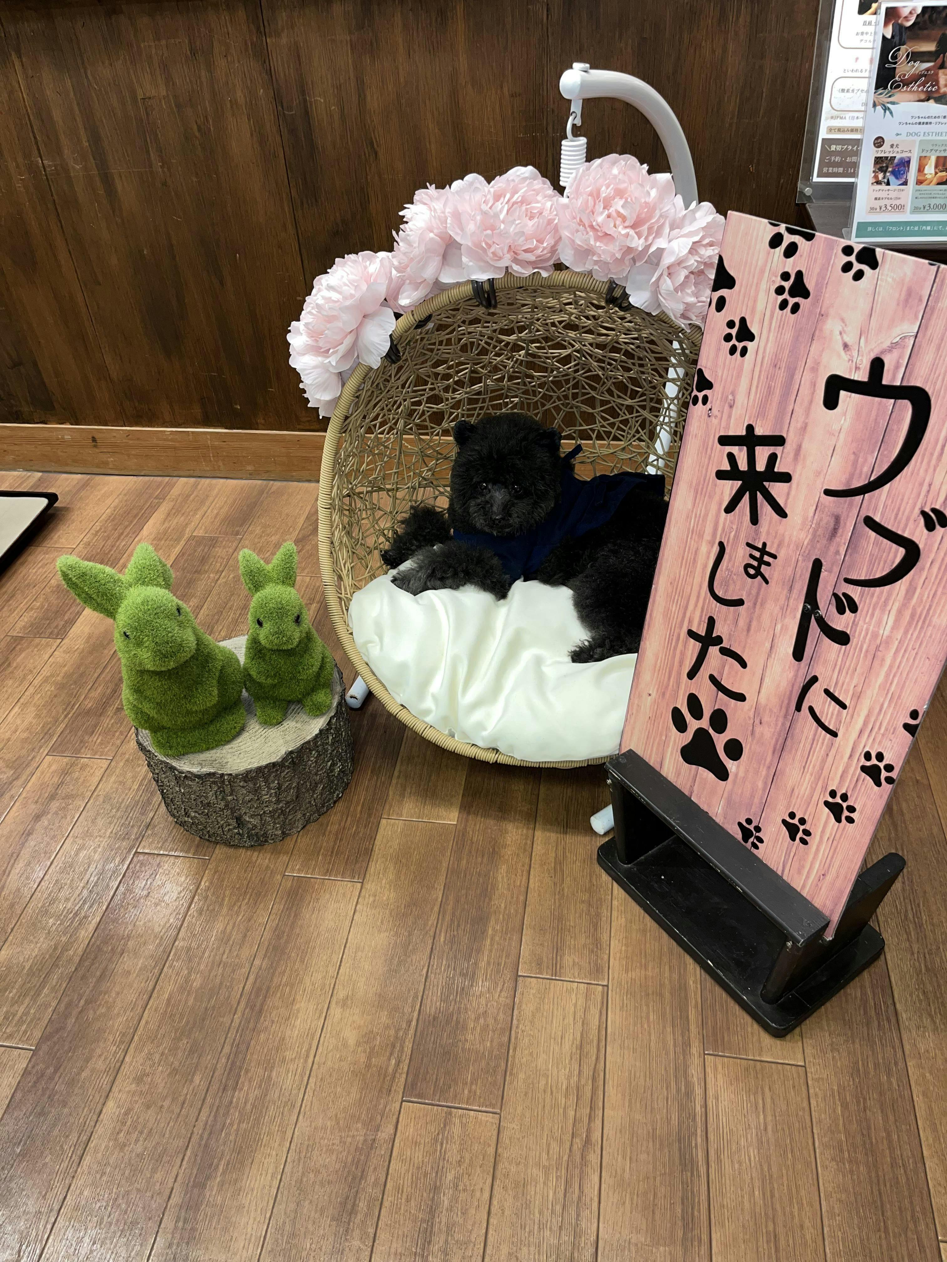 クチコミ画像