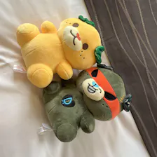 クチコミ画像
