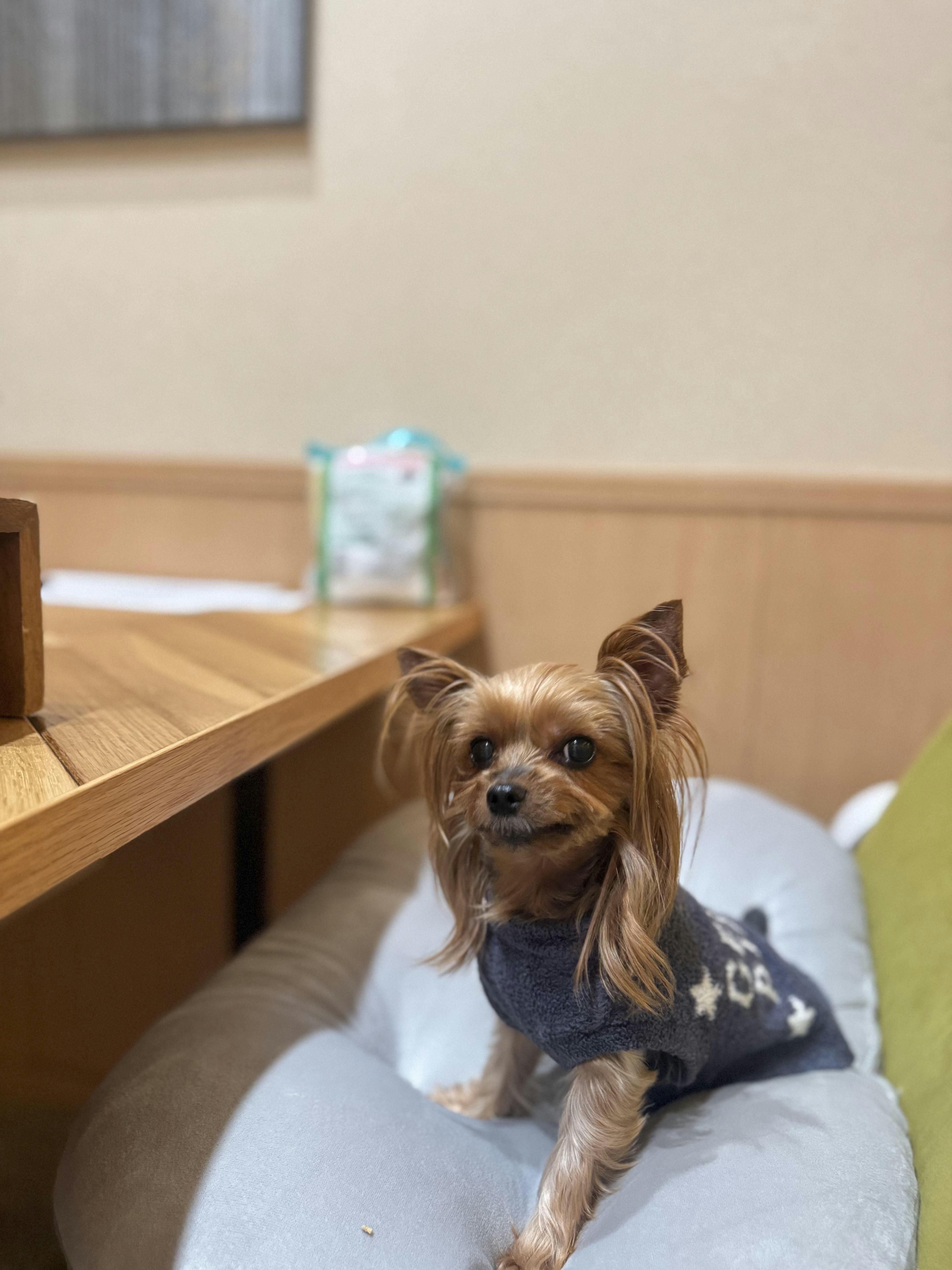 クチコミ画像