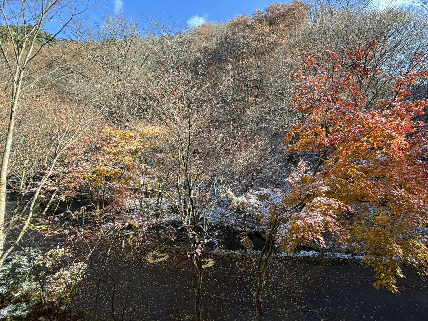 クチコミ画像
