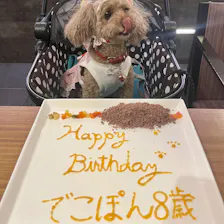クチコミ画像