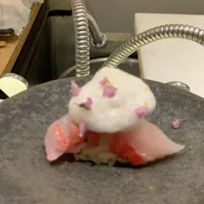 クチコミ画像