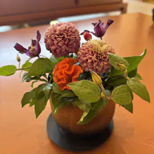 クチコミ画像