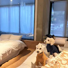 クチコミ画像
