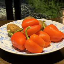 クチコミ画像